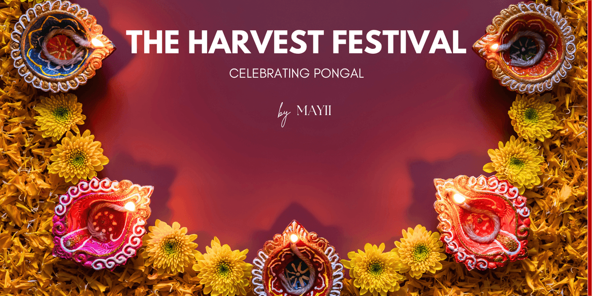 A Week of Pongal Festival: Day-by-Day Guide for Pongal Festival - Mayii
