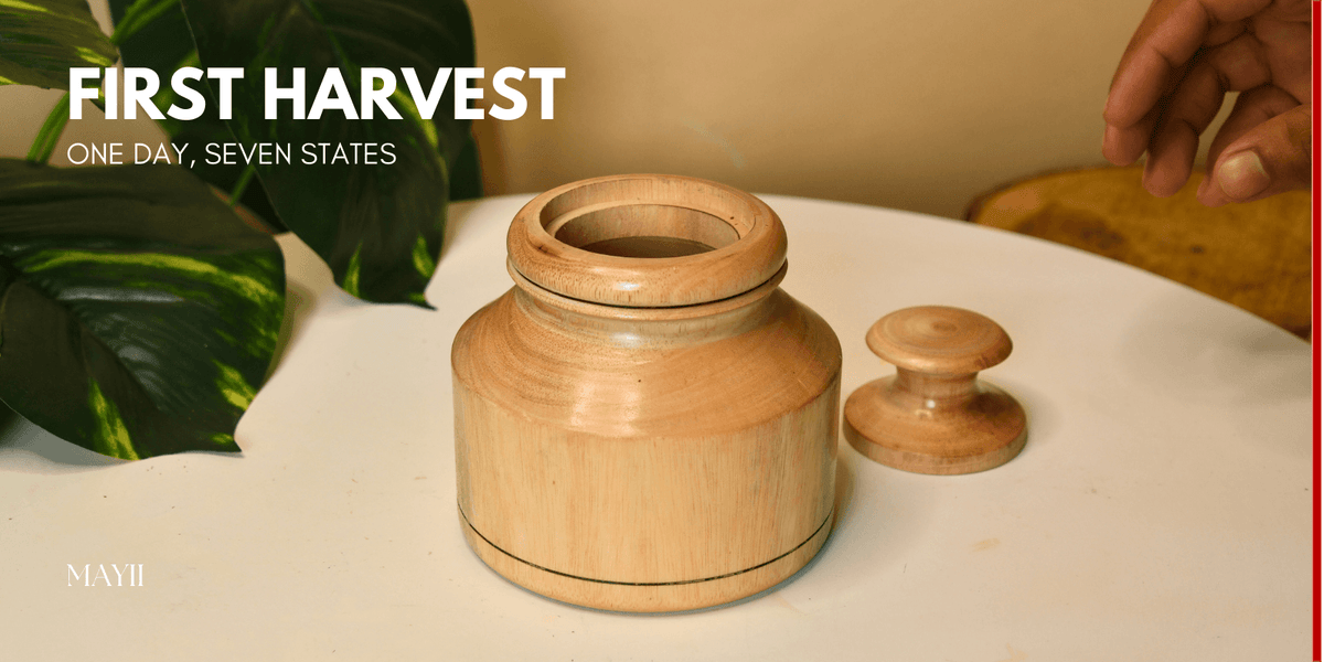 One Day, Seven States: How Sankranti is Celebrated Differently Across India - Mayii
