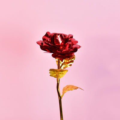 Mayii Scarlet Love